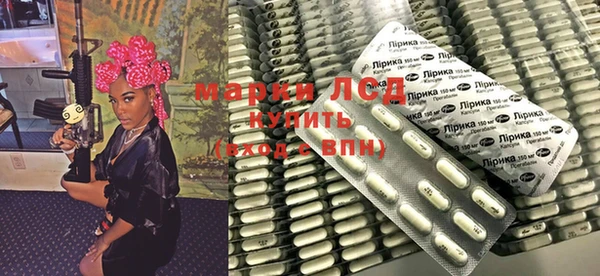 гидра Майский