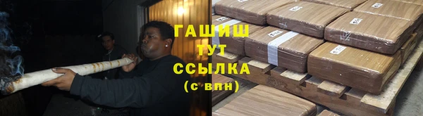 альфа пвп Медвежьегорск