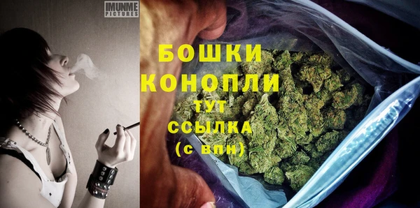 альфа пвп Медвежьегорск