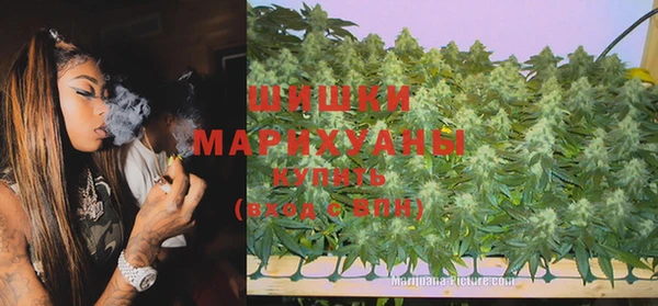 гидра Майский