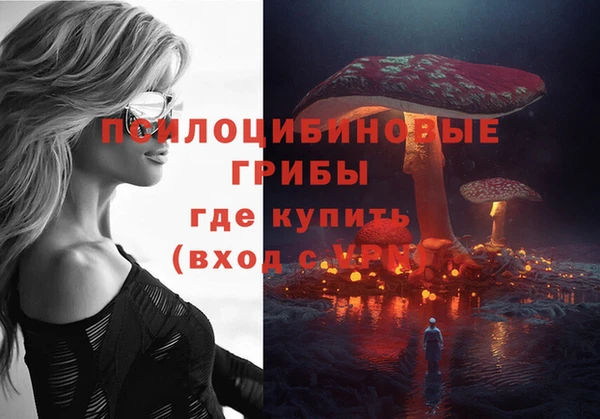 альфа пвп Медвежьегорск