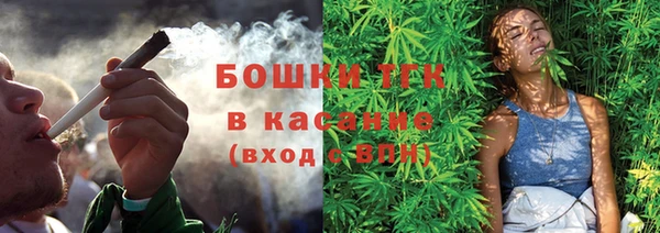 гидра Майский
