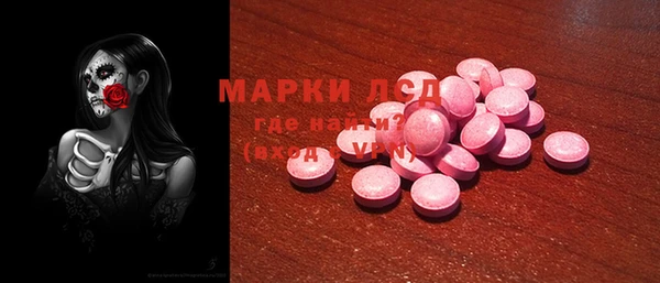гидра Майский