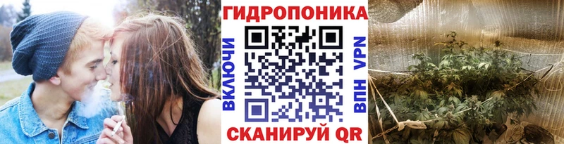 Конопля OG Kush купить наркотики сайты Сураж